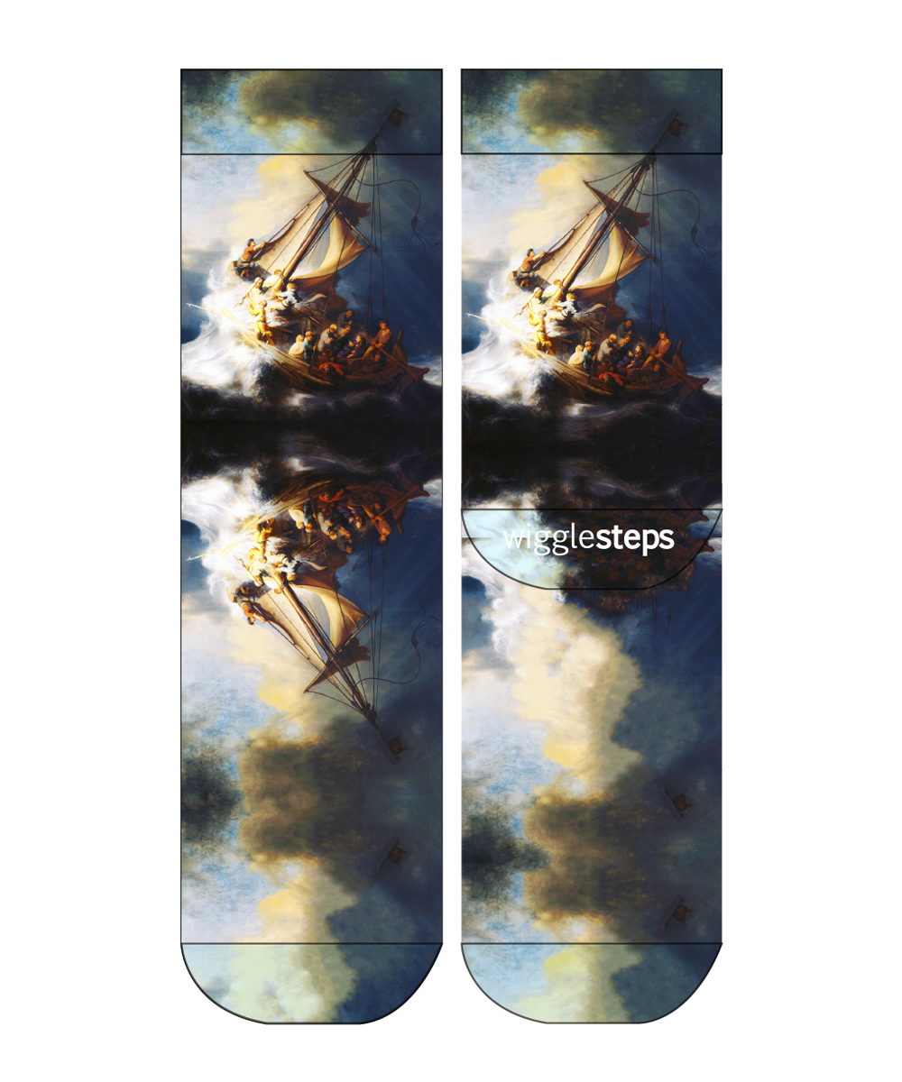 REMBRANDT STORM Lady Socks