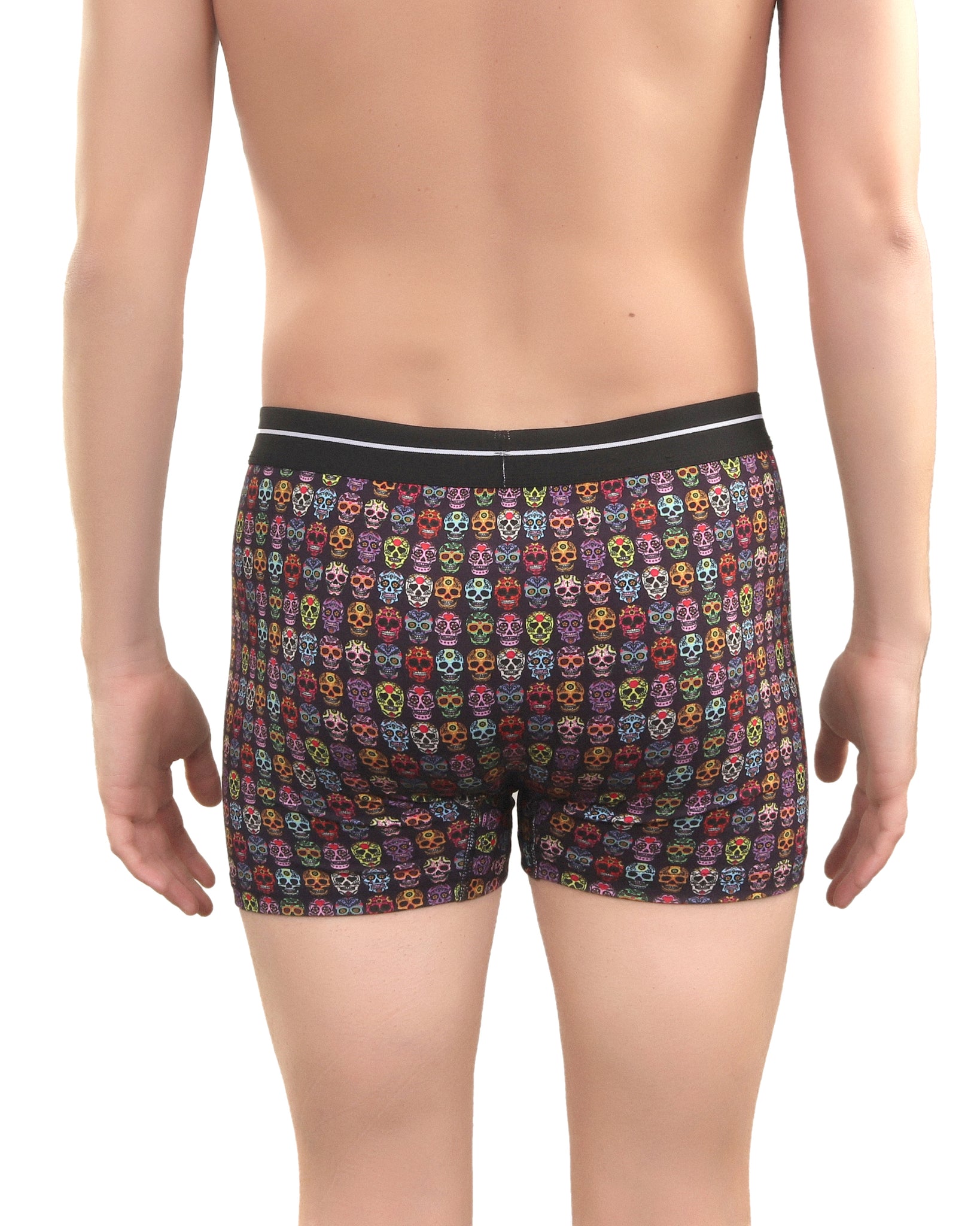 Blue Skulls Boxer