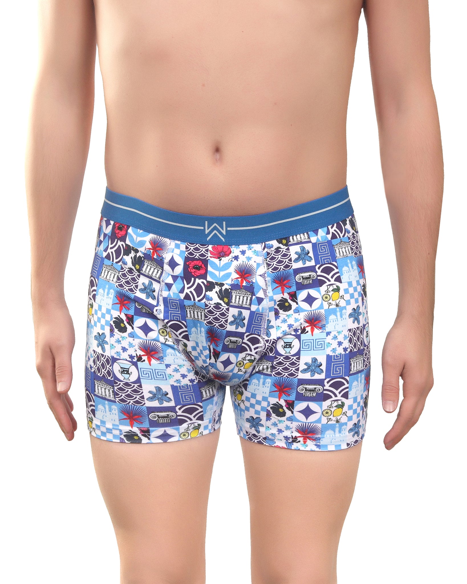 Blue Myth Boxer