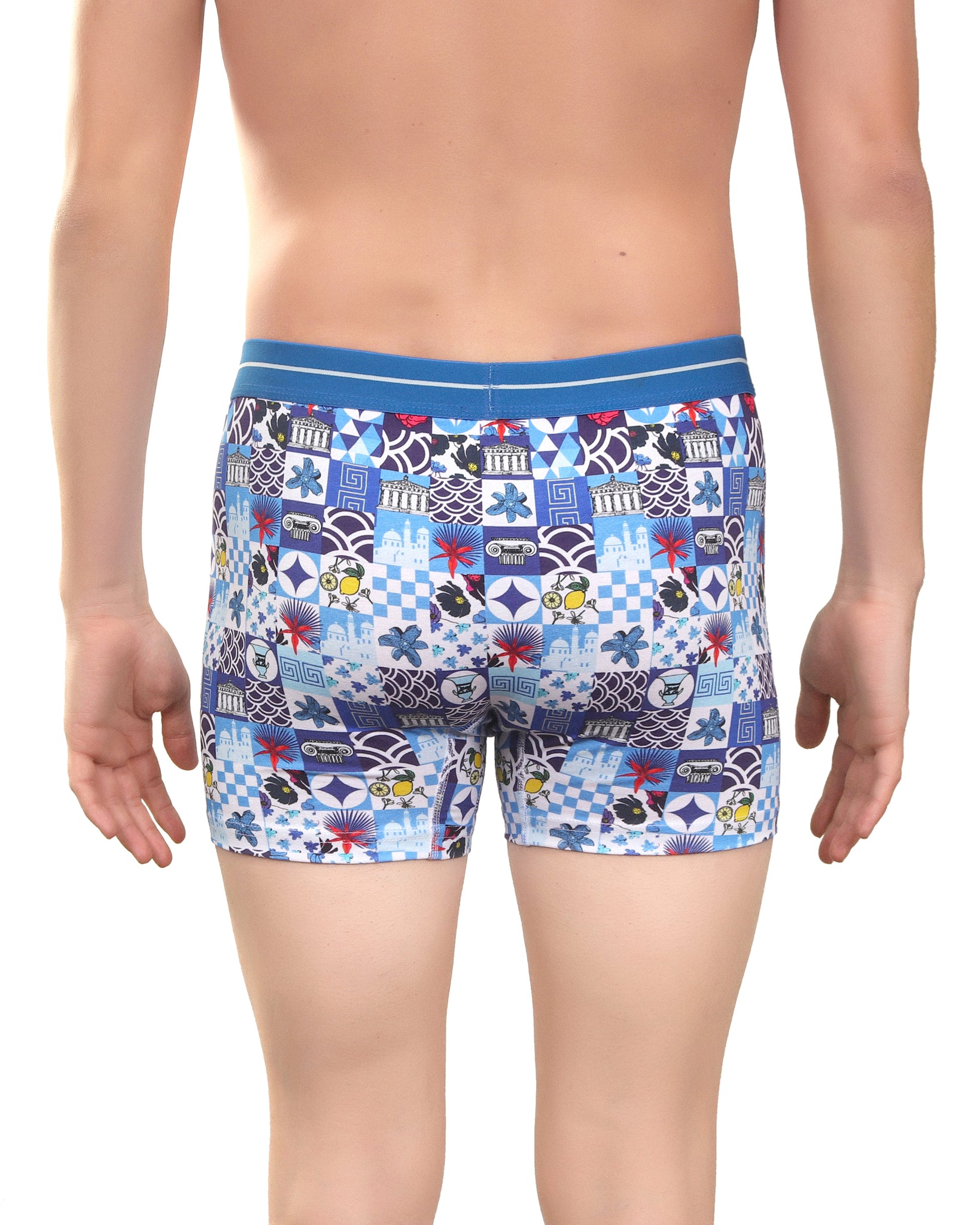 Blue Myth Boxer