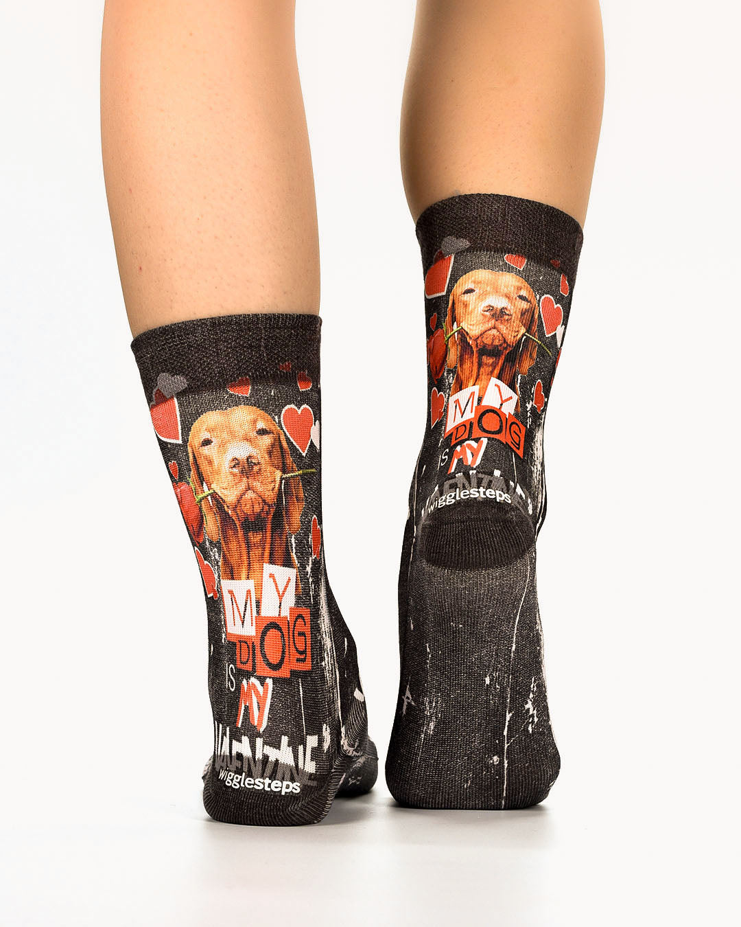 Lovely Dog Lady Sock