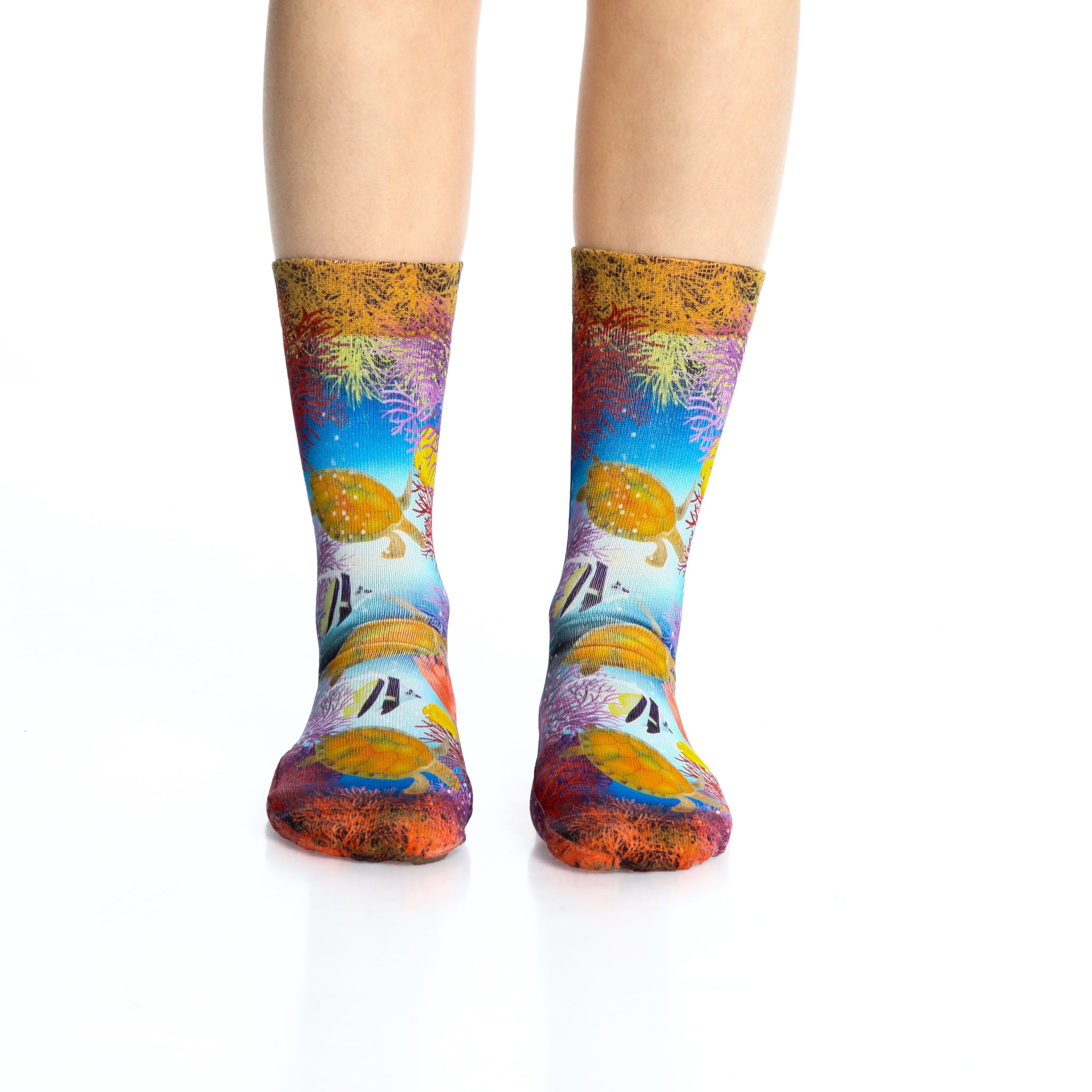 Aquarium Lady Sock