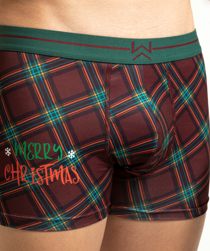 Christmas Boxer
